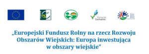 Doposażenie świetlicy wiejskiej w&nbsp;miejscowości Redło wraz z&nbsp;zagospodarowaniem terenu