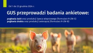 2024 12 05 badanie 1