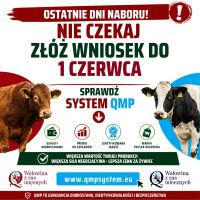 2026 05 20 kampania 1