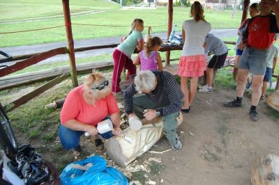 DZIEŃ PALA W KRZYWICACH 2012