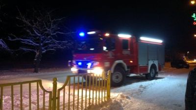 Osina zagrała dla WOŚP