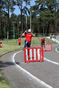 IMG 3995