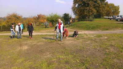 2013.10.15 Sadzenie krokusow