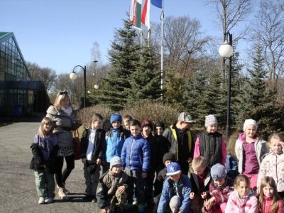 II A ZWIEDZA DREWPOL