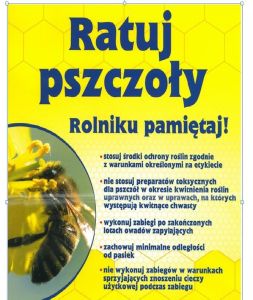 2019 06 24 pszczoly