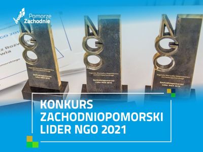 Lider NGO 2021