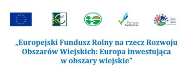 Doposażenie świetlicy wiejskiej w miejscowości Redło wraz z zagospodarowaniem terenu