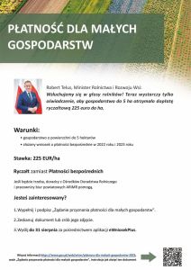 Plakat RYCZAŁT DLA MAŁYCH GOSPO 