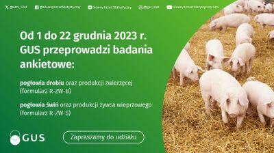 2023 12 05 badanie