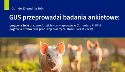 2024 12 05 badanie 1