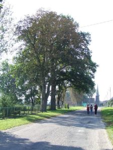 Sołectwo Węgorza
